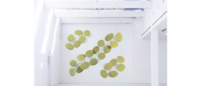 mitesco absorbing wall panels